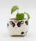 Ceramic Cow with Rose Flower Candy Bowl or Indoor Planter, Home Décor, Gift for Her, Gift for Mom, Kitchen Décor, Farmhouse Decor